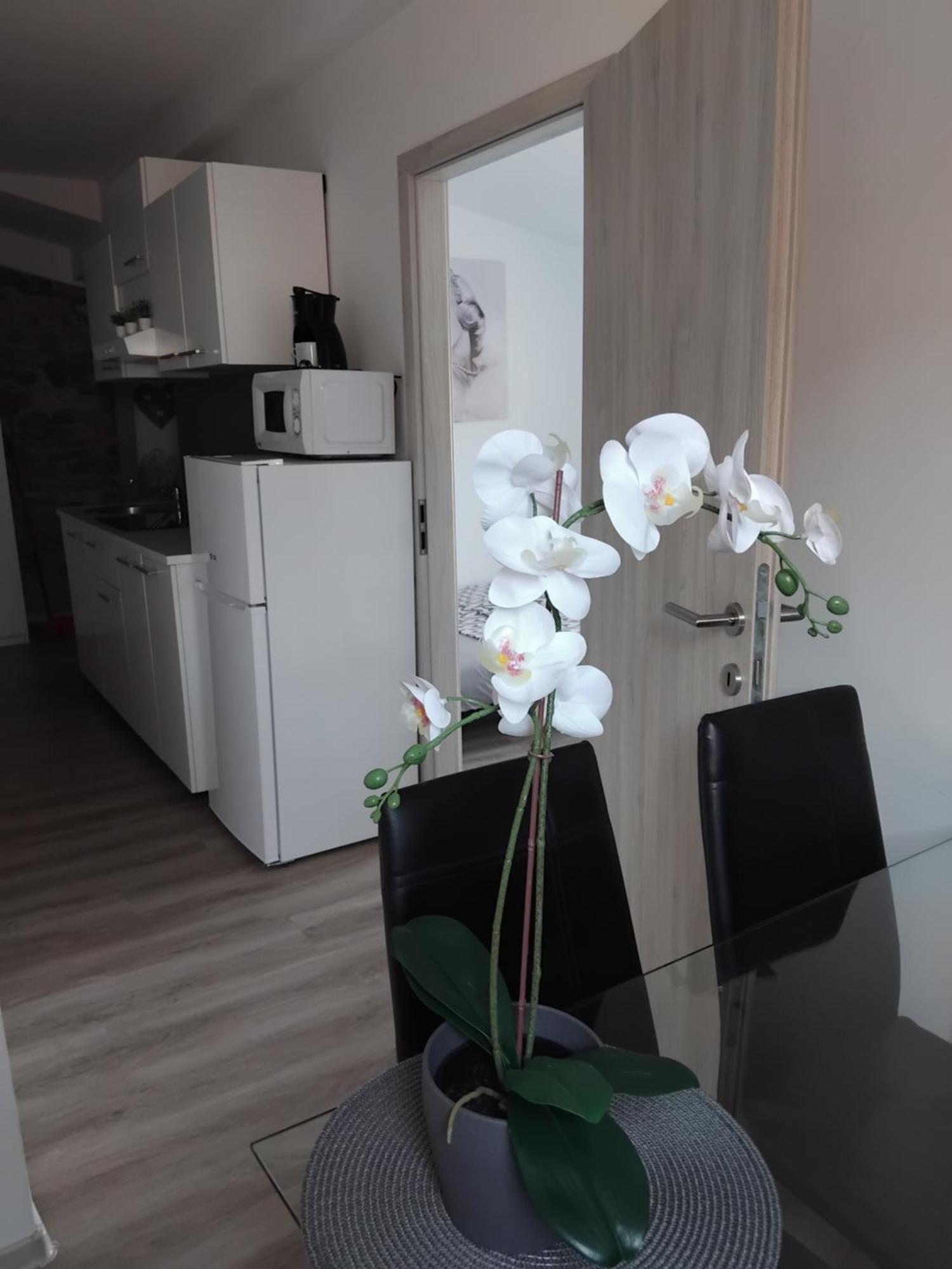 Apartmaja Eva&Pia Koper Zewnętrze zdjęcie